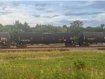 ETHX 100545